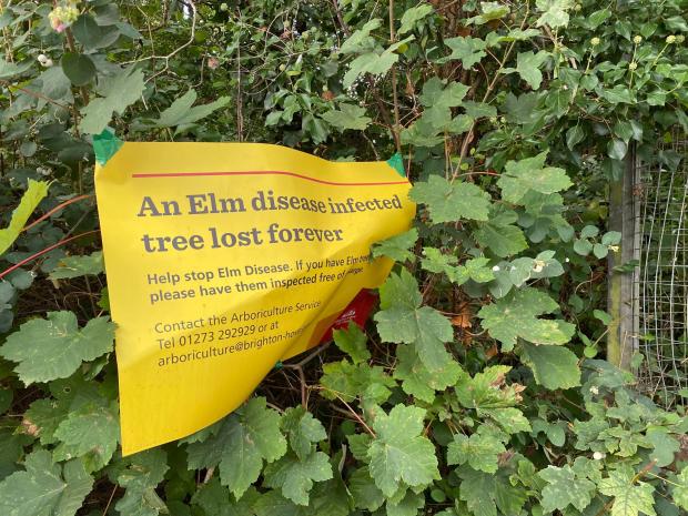 The Argus: Signs posted around the site say the trees are
