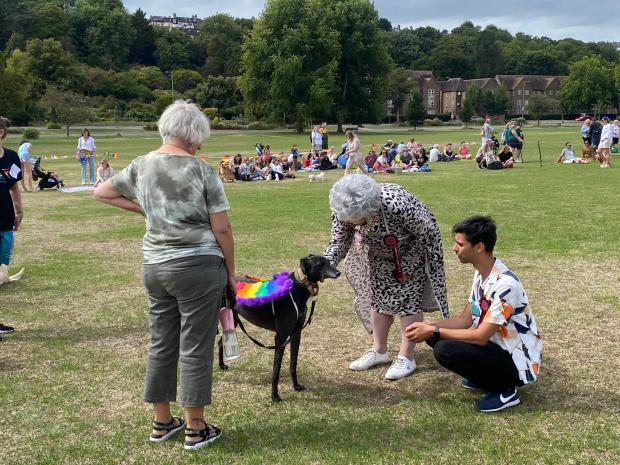 The Argus: Greyhound Edna was dressed to impress at the dog show in Preston Park yesterday