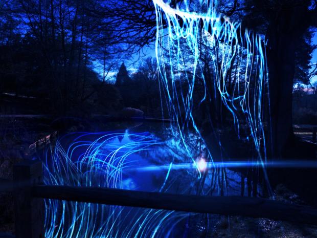 The Argus: A series of water-based installations will light up the Black Pond along the winter hiking trail