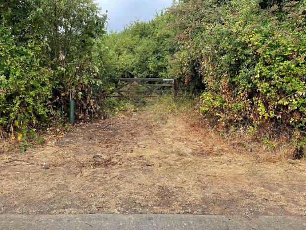 The Argus: The farmland on Haywards Heath is also up for auction | Clive Emson Auctioneers