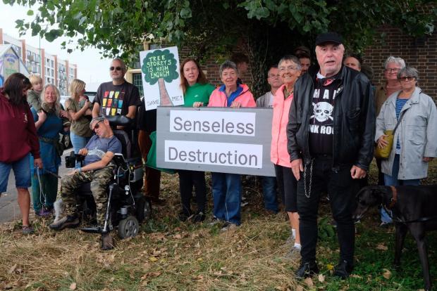 The Argus: activists fight to save the tree from being felled