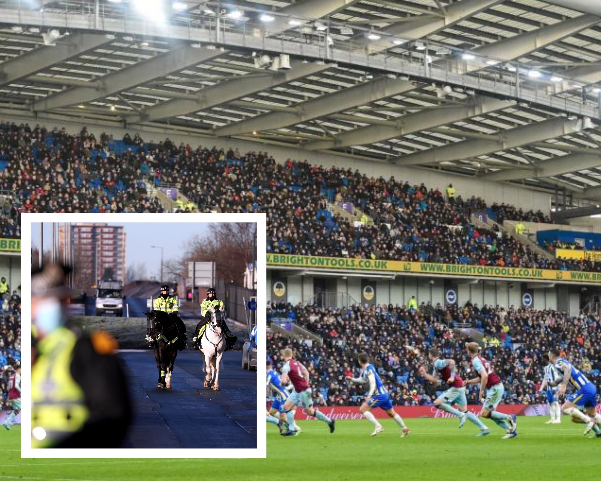 The number of Brighton and Hove Albion fans banned from matches