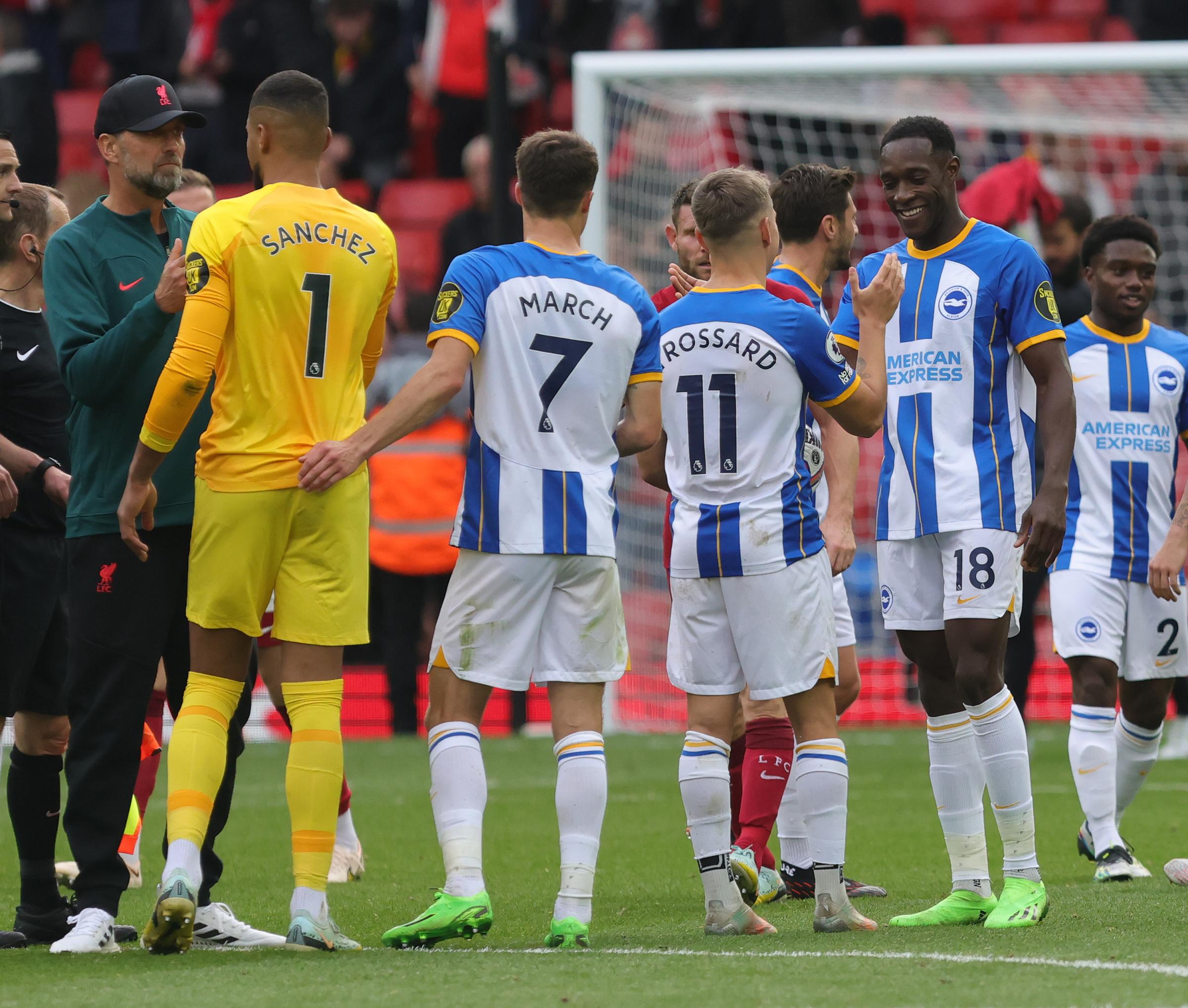 Liverpool v Brighton: Leandro Trossard tops player ratings