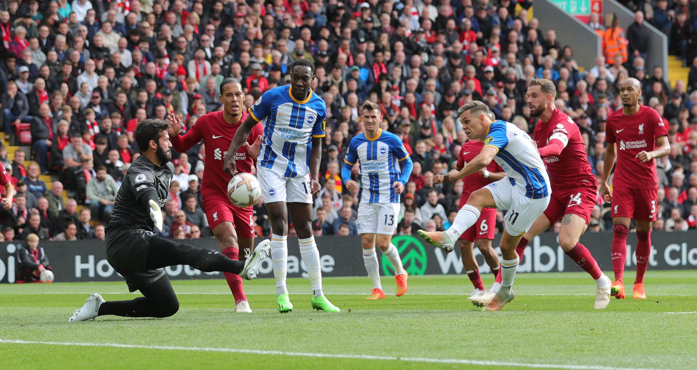 Virgil Van Dijk's Brighton verdict after Liverpool thriller
