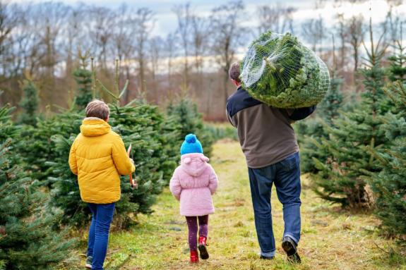 The Argus: Picking up your Christmas tree with the family is one way to get excited for the festive period The Argus: Picking up your Christmas tree with the family is one way to get excited for the festive period