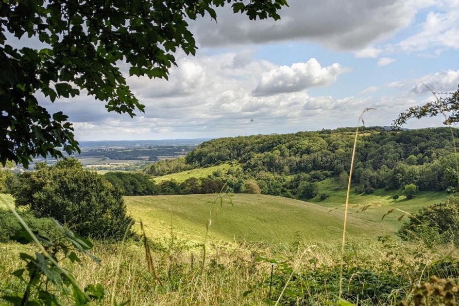 South Downs border at risk of becoming development for 1,100 homes 
