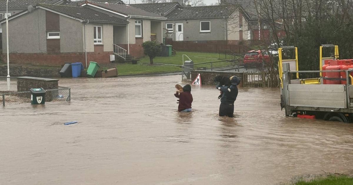 Power restored to more than 46,000 properties after Storm Gerrit - Vimarsana News