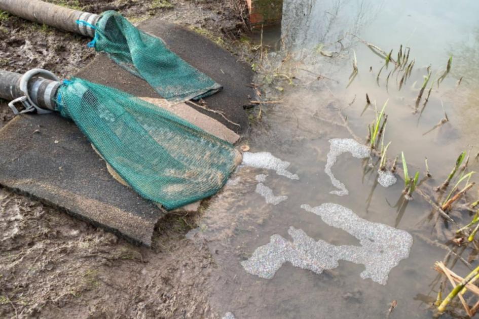 River 'effectively dead' and 'blighted by pollution and sewage fungus' 