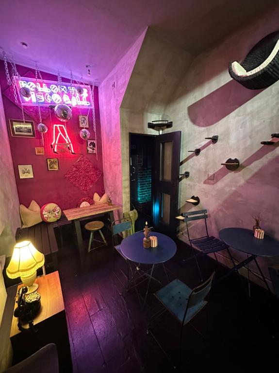 The Argus: Inside the cat cafe The Argus: Inside the cat cafe