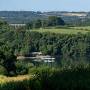Picture of the day: Ardingly reservoir