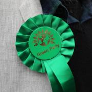 A Green councillor was accused of saying he 
