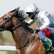 Palace Pier will miss next week’s Qatar Sussex Stakes at Goodwood