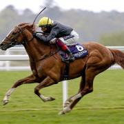 Stradivarius leads the Sussex connections racing on first day of Goodwood's Qatar Festival