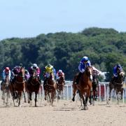 Brighton chairman Tony Bloom's horse Withhold to run in the Unibet three Boosts A Day Handicap at Goodwood
