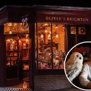 Oliver's Brighton, which sells a range of wizarding items and gifts, was ranked the best store in the city according to TripAdvisor reviews