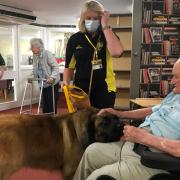 Care home in Henfield introduces Stanley, the new PAT dog.