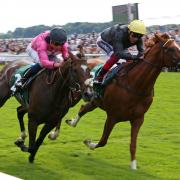 Stradivarius (right) beats Spanish Mission by a head to win his third Lonsdale Cup at York this afternoon.