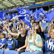 Brighton and Hove Albion have some of the  most budget-friendly tickets in the Premier League