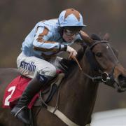 Jockey Josh Moore suffers fractured back and broken ribs after fall at Plumpton