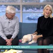 Phillip Schofield (left) , Bailey (middle) and Holly Willoughby on This Morning. Credit: ITV