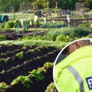 Police increase patrols at Lewes allotments after anti-social behaviour and break-ins