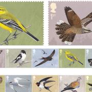 (Top left-clockwise) Yellow Wagtail stamp, Nightjar stamp, 10 new migratory bird stamps. Credit: Royal Mail/PA