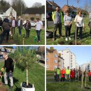 Volunteers played their part in the tree planting events across Brighton