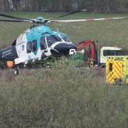 Two people died in the crash on the A272 near Cowfold on Monday, March 28