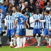 Brighton and Hove Albion celebrate scoring a goal