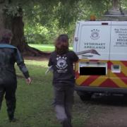 East Sussex Wildlife Rescue and Ambulance Service said that underfunding and the avian flu epidemic has left the service 