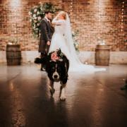 Some couples enlist the help of their pet dogs in the ceremony (Jenny Appleton Photography)