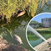 Pumps have been used to oxygenate a lake after fish died in Brooklands in Worthing