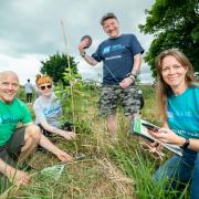 American Express colleagues volunteer at Earthwatch Tiny Forest, Lancing