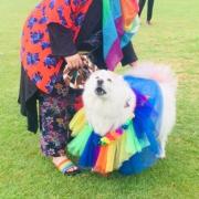 Dogs will receive awards for fancy dress, waggiest tail and best rescue at the show