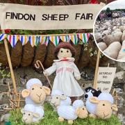 Findon Sheep fair is returning