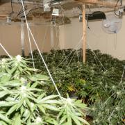Police found cannabis in the property