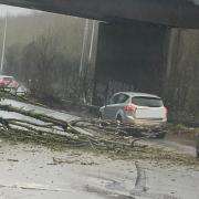 The tree fell into the A27