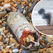 Mathew Medway-Gash discovered the 'bomb' while walking along Brighton beach on New Year's Day