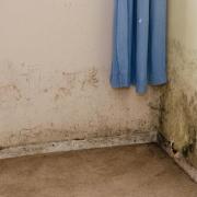 Adur District COuncil spent almost £300,000 tackling mould and damp in its properties