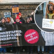 Pictured: Nurses strike outside Royal Sussex County Hospital
