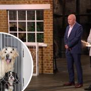 Peter and Chris Maxted, left and right, will appear on Dragons' Den tomorrow