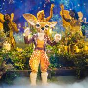 Fawn, Rhino and Phoenix have made it to the final of The Masked Singer but who will win?