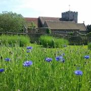 Homelessness charity Sussex Emmaus is inviting the local community to a day of family fun.
