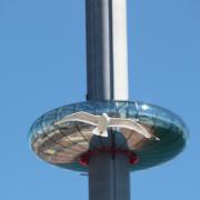 Visitors to the i360 stripped off for a special nude flight on the viewing tower