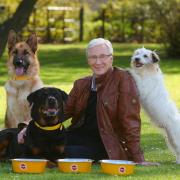 Paul O'Grady was known for his love of animals, made apparent though his charity work and TV show For The Love Of Dogs