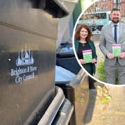 The Green Party has pledged to introduce weekly recycling collections if the party wins the local election in May