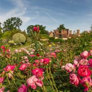 Grade II* listed gardens to host first festival