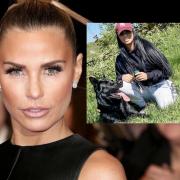 Katie Price's dog Blade, inset, has been killed after being hit on the A24