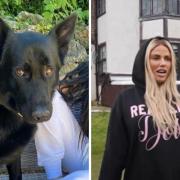 Katie Price is reportedly building a panic room at her Mucky Mansion, right, after the death of her dog Blade, left
