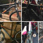 Police are searching for the owners of several suspected stolen bicycles
